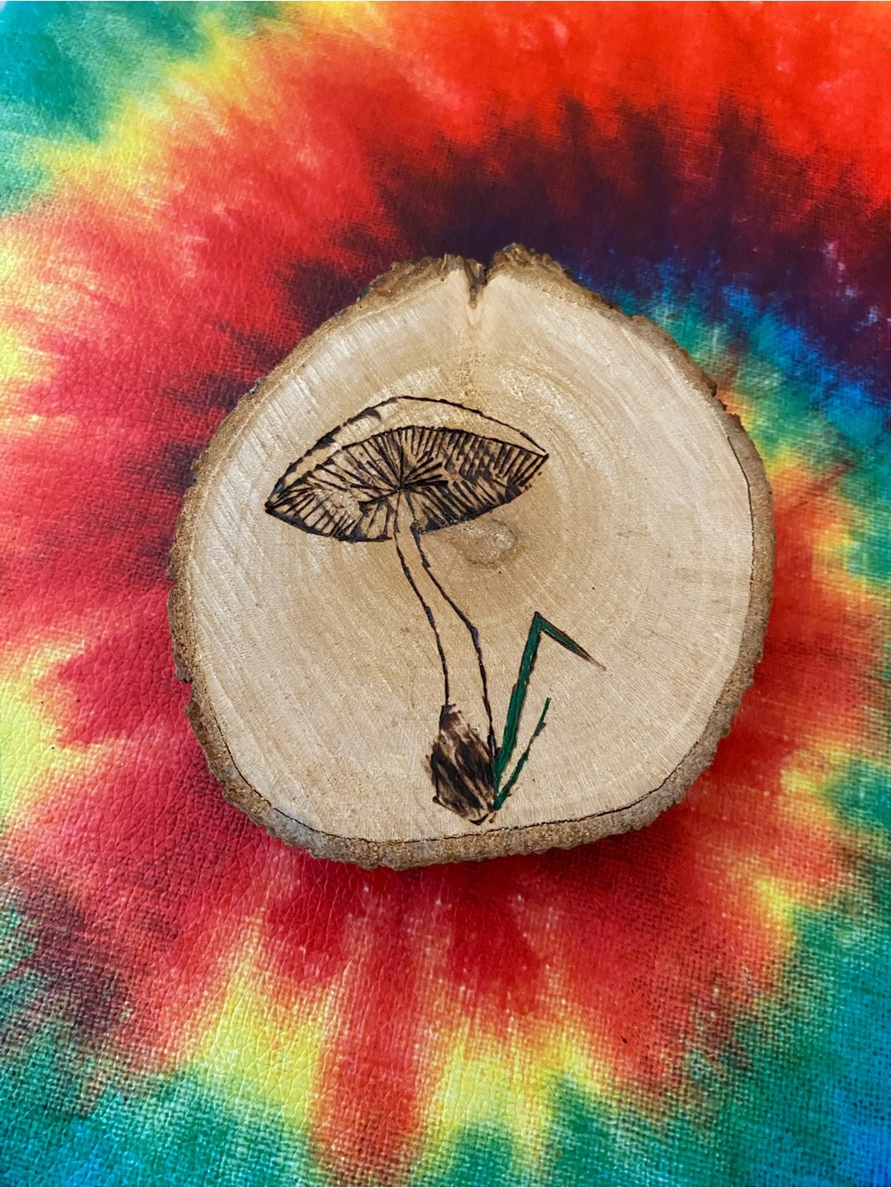 🍄 Hand-Burned Mushroom Wood Slice Décor in Natural and Green